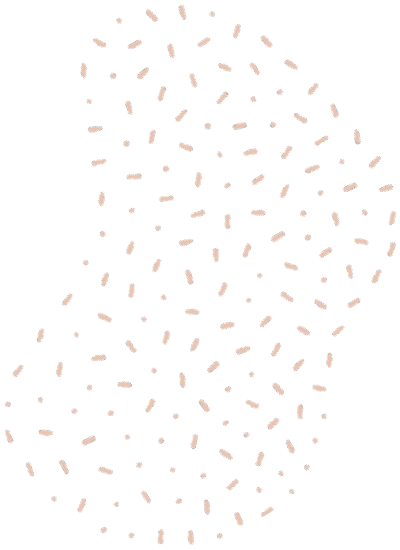 https://witchestreasuretrove.com/wp-content/uploads/2021/06/floating_image_01.png