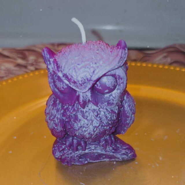 Athenas-owl-2